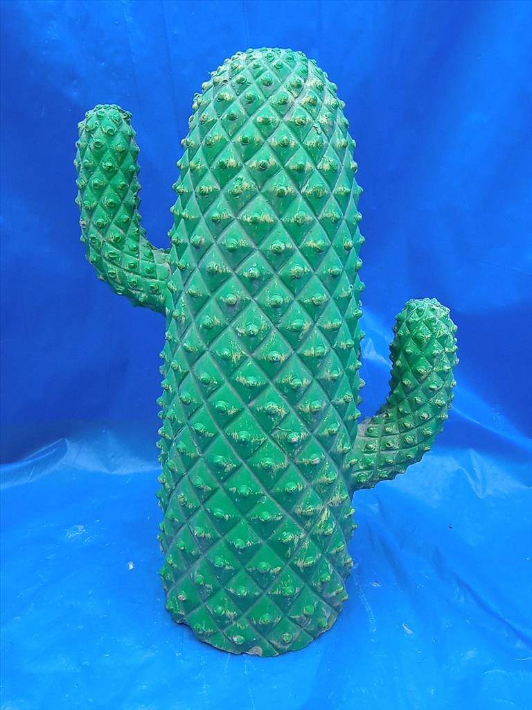 Cactus Medio