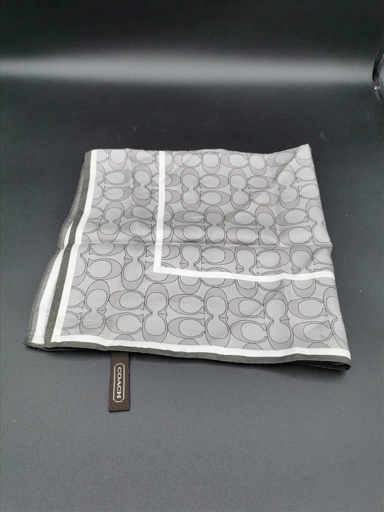 Foulard Grigio Coach 